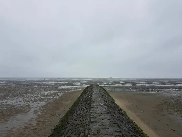 Steinsteeg und die Ebbe in herber Schönheit