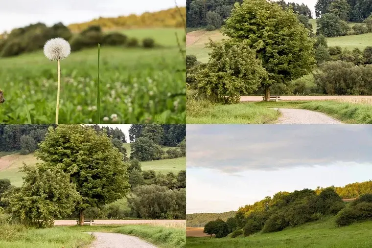 Die Ruhe der Natur bleibt zurück, der Ruhrpott ruft.