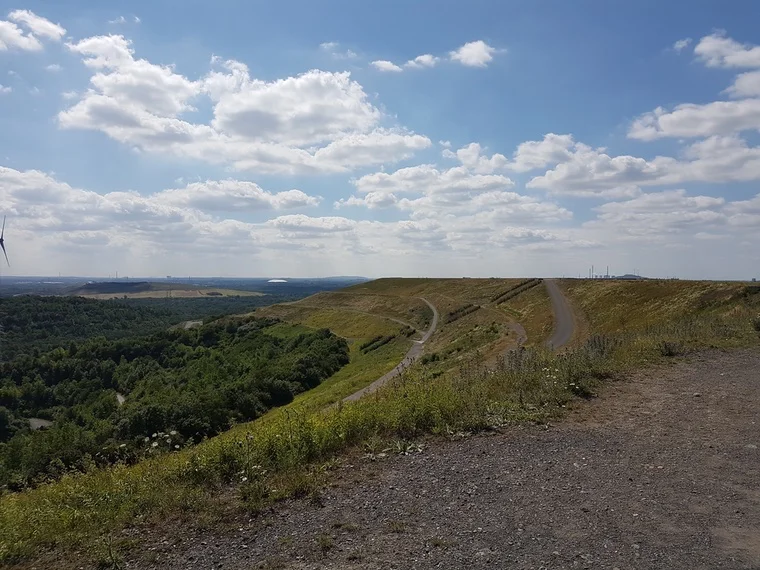 Das grüne Bundesland mit der Arena am Horizont
