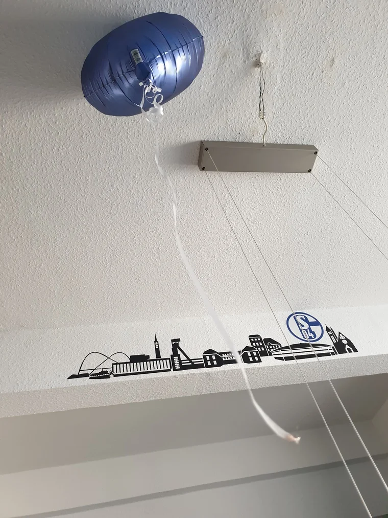 Leo kann es nicht lassen — ups, daneben und fliegen kann der auch.