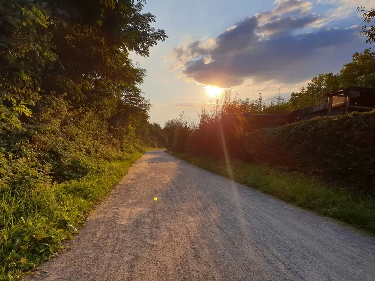 Der Rad- und Wanderweg im Sonnenuntergang – Ruhe mitten im Ruhrgebiet.