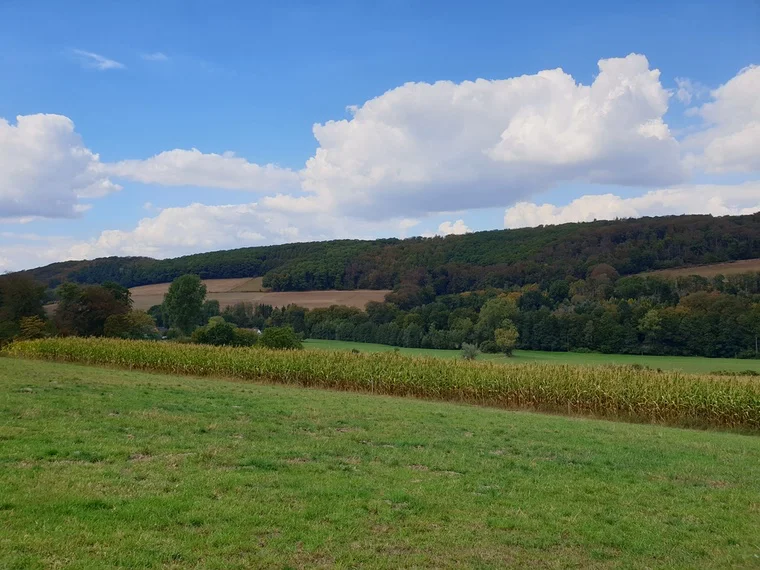 Aussicht wie aus Windows XP – grüne Hügel und blauer Himmel.