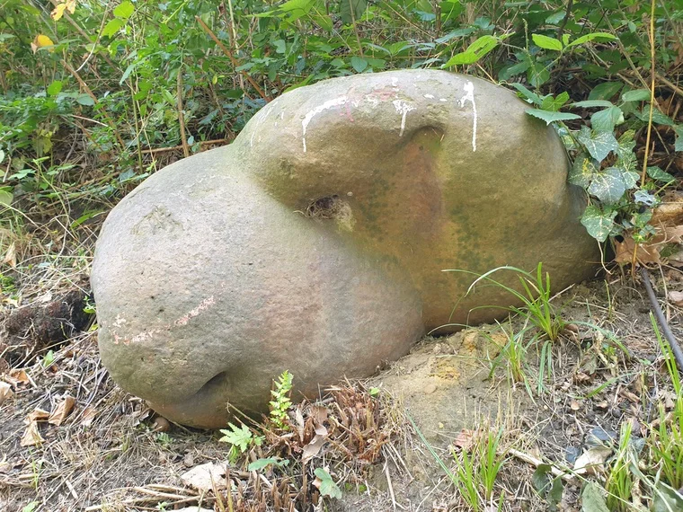 Eindeutig ein Schaaf