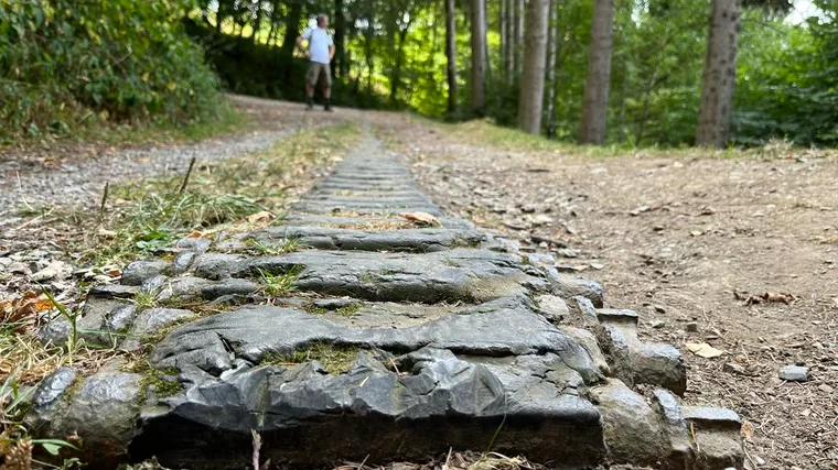 Eine alte Panzerkette – stummer Zeuge des Zweiten Weltkriegs.