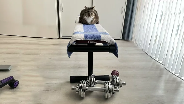 Leo beim Training – oder tut zumindest so