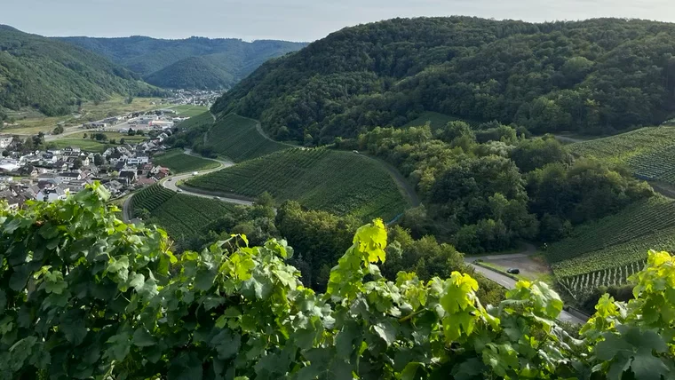 Kurvige Straßen und schöne Landschaften – ideal fürs Motorrad..