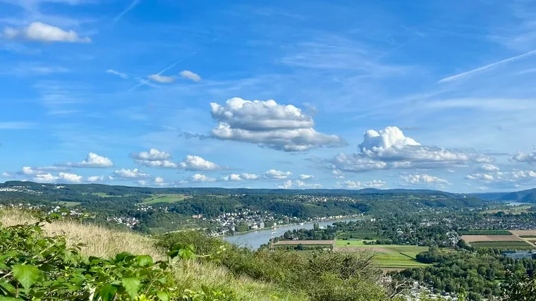 Der Rhein von oben – ein Panorama zum Staunen.