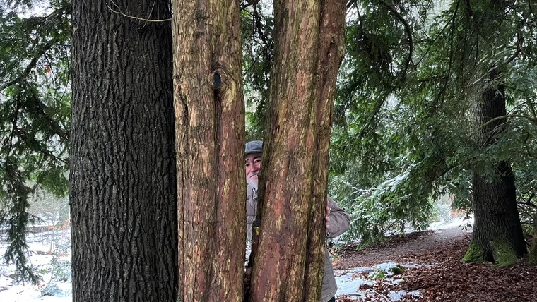 Burghard mitten in der Natur