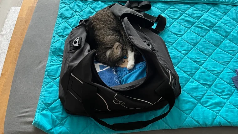 Da ist ein Kissen zu viel in der Tasche.