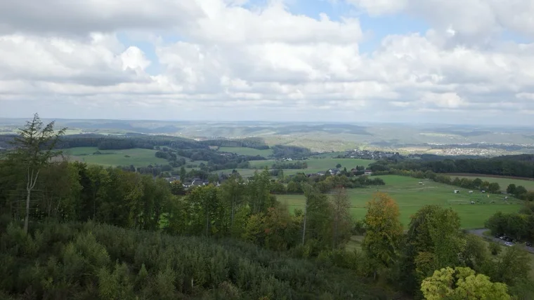 Der Ausblick