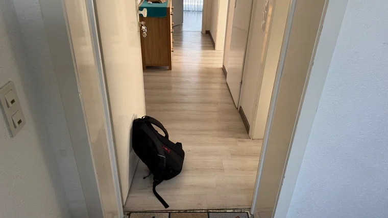 Wenn Katzen Prioritäten setzen. Der Flur leer – Empfang heute nicht zuständig.